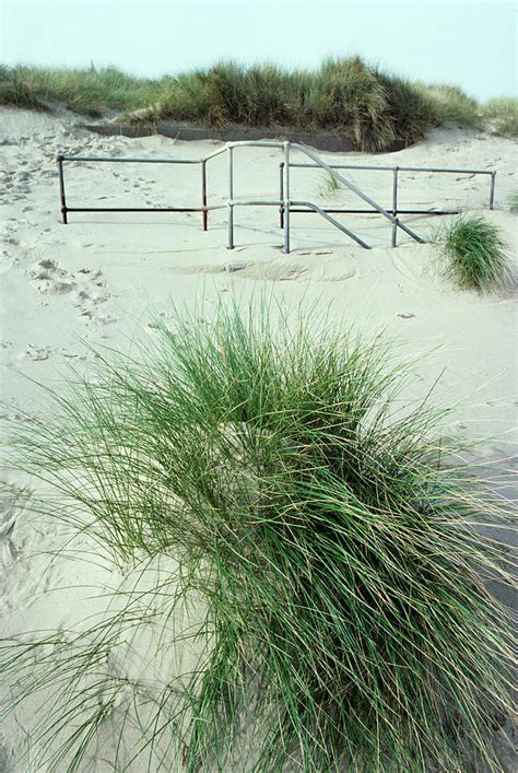 Beach Formation Photograph by Dr Jeremy Burgess/science Photo Library - Fine Art America