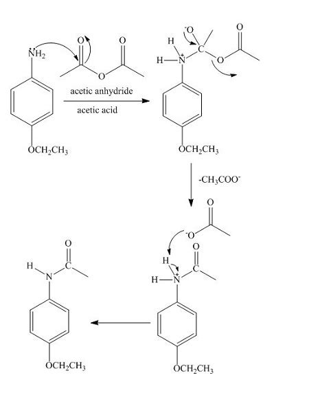 Write Out The Reaction And Mechanism For The Synthesis Of Phenacetin