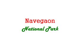 Navegaon National Park Arjuni Morgaon, Gondia - Zoo and Wildlife ...