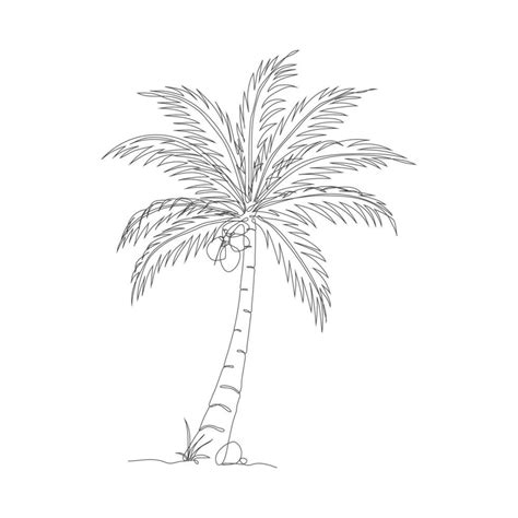 Coconut Tree Line Art Drawing Single Continuous Line Drawing Of