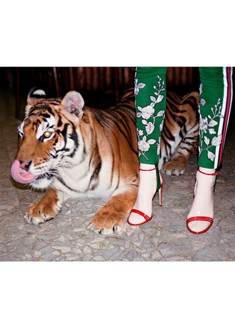 Wild Days And Nights In Roma Gucci Stories