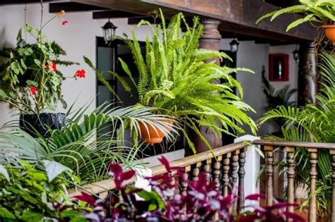 10 of the Best Hotels in Antigua Guatemala - Guatemala Tourist