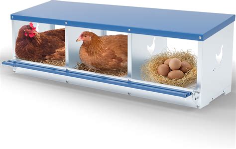 Amazon Kerty Nesting Boxes For Chicken Coop With Compartment