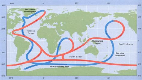 The Great Ocean Conveyor Global Thermohaline Circulation Download