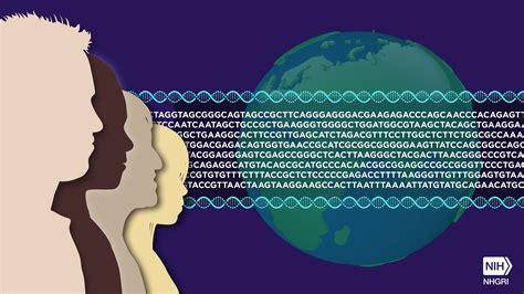 Looking Back 20 Years After the Unveiling of the First Human Genome ...