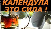 От чего помогает календула - YouTube