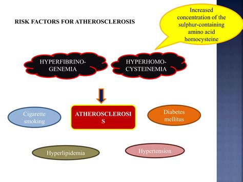 Atherosclerosis Pathophysiology PPT