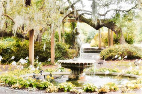 Yellow Garden I Took This At Airlie Gardens In Wilmington Nc