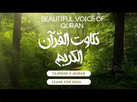 Tilawat Beautiful Voice Quran Majeed Tilawat Beautiful Quran Tilawat