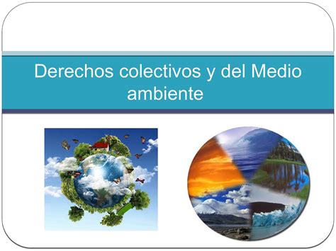 Calam O Derechos Colectivos Y Del Medio Ambiente