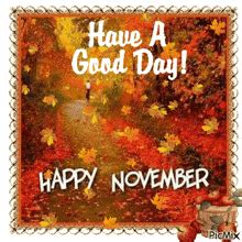 November GIF - November - Discover & Share GIFs