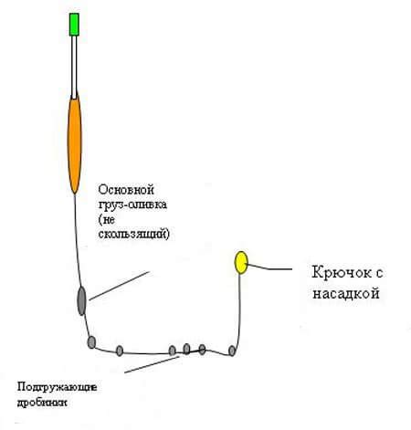 Белый амур - Виды рыб - Блог