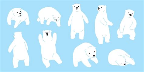 Bear Vector Polar Bear Logo Icon Doodle Illustration Character Cartoon