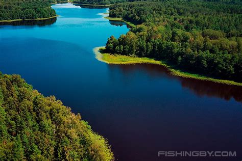 Озеро Малая Осмота в Городокском районе | FishingBY.com
