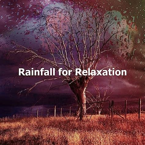 Rainfall For Relaxation By Rain Sounds FX Rainfall For Sleep Rain