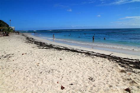 La Plage Des Raisins Clairs à Saint François