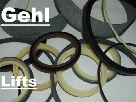 Hydraulic Cylinder Seal Kit Fits Gehl Sl E Ebay