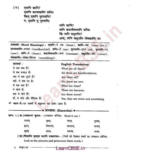 Ncert Solutions For Class 6 Sanskrit Chapter 3 अकारान्त नपुंसकलिंग Bhavy Education