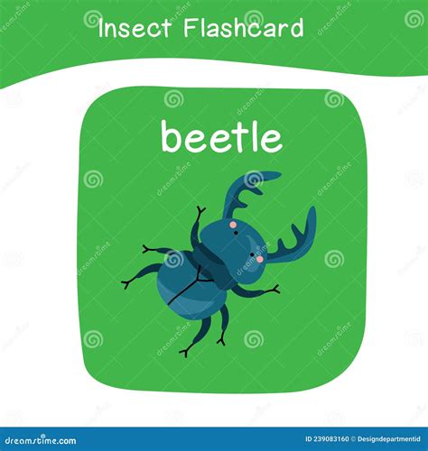 Insects Flashcard Educational Printable Game Cards Bugs Collections