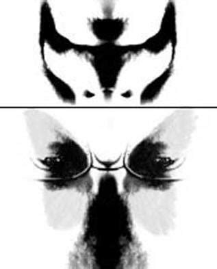 Cognitive Illusions