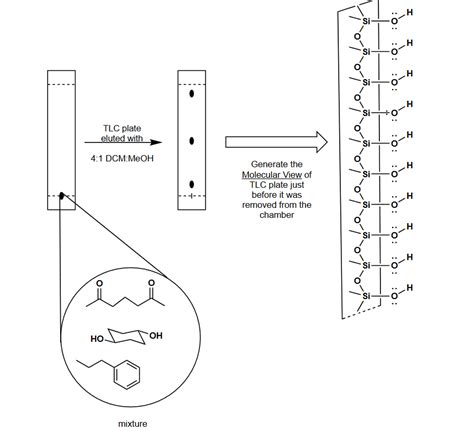 Solved Draw The Order Of Three Compound On Tlc Plate And