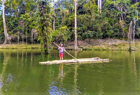 Memanjakan Diri Dalam Keindahan Taman Nasional Meru Betiri Indonesia