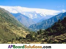 Ts Th Class Social Bits Rd Lesson A Land Forms Ap Board Solutions