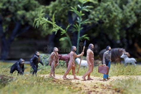 Miniatura De La Teor A De La Evoluci N Del Hombre Desarrollo Humano