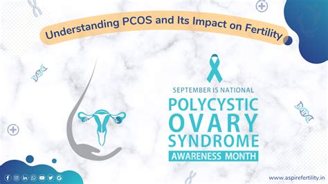 Understanding Pcos And Its Impact On Fertility With Dr Ashwini G B