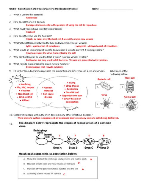 Bacteria And Virus Worksheet Lesson Worksheet Virus Life Cycles Nagwa Wolcott Pix