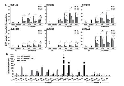 Cytochrome P450 Enzyme CYP450 Activity And Gene Expression Of Phase I