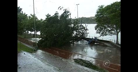 G Vento Forte Derruba Rvores E Postes De Energia Em Rio Preto