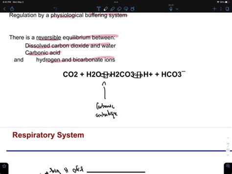 Renal Physiology Acid Base Part Flashcards Quizlet