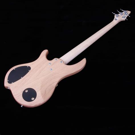 Dingwall Combustion 5 Bass Guitar Bass Gear Direct