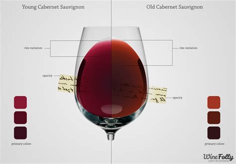 Learn The Secrets of Each Red Wine Color | Wine Folly