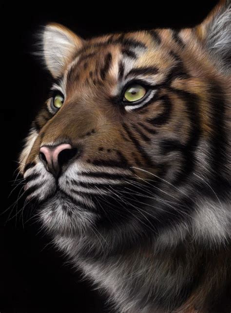 Original Realistic Tiger Artwork Fine Art Pastel Painting | Etsy