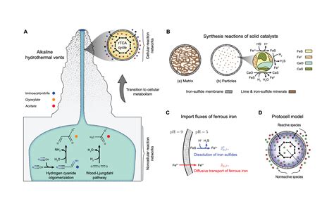 Metabolic Homeostasis And Growth In Abiotic Cells Astrobiology