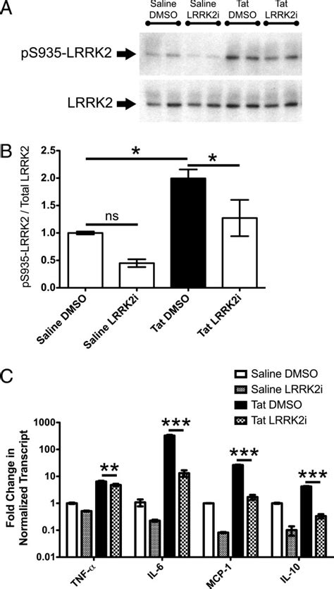 Lrrk2 Kinase Inhibition Blocks Tat Induced S935 Phosphorylation And