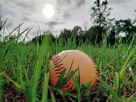 Baseball And Bat Laying On Basepath With Grass Infield Stock Image