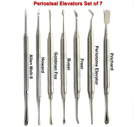 Periosteal Dental Elevator Instruments Dynaintlshop