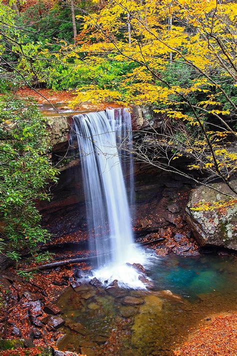 Cucumber Falls Photograph By Tammy Mcgogney Fine Art America