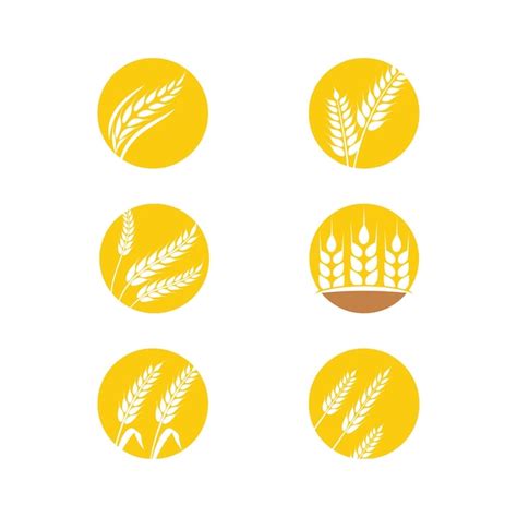 Diseño de icono de vector de trigo de agricultura Vector Premium