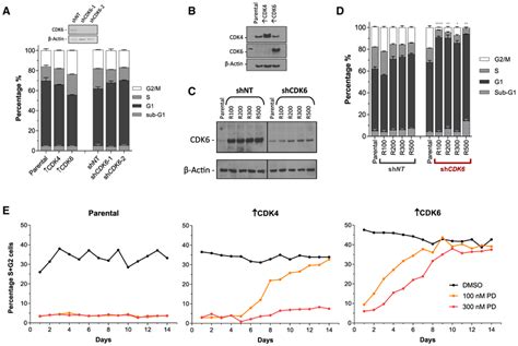 Resistance To Cdk4 6 Inhibition Is Mediated By High Cdk6 Expression A