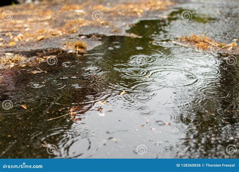 Puddle Water On Wet Street Stock Photo Image Of Raindrops 128360836