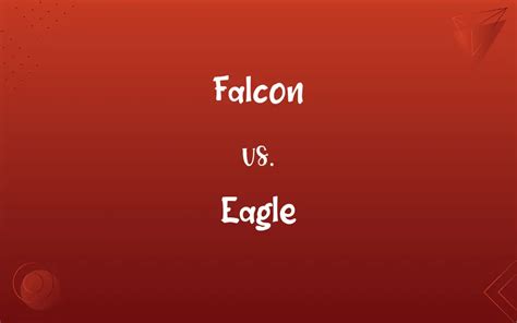 Falcon vs. Eagle: What’s the Difference?