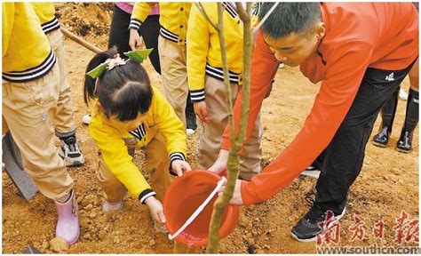 今年来全省开展植树活动超1800场次 绿化 义务 广东