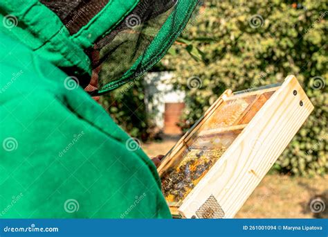 Tribal Thoroughbred Queen Bee With A Label In The Nucleus Behind The