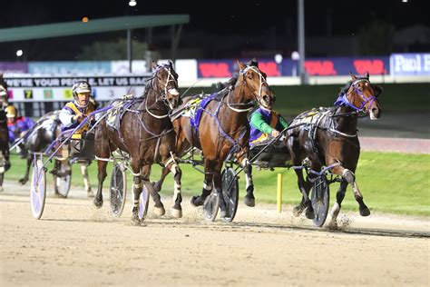 Harness Racing New Zealand