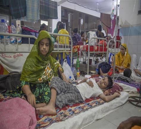 Casi Muertos Por Dengue En Bangladesh Mientras La Epidemia Se