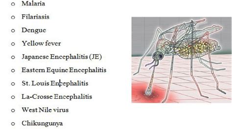 Major Mosquito-borne diseases | Download Scientific Diagram